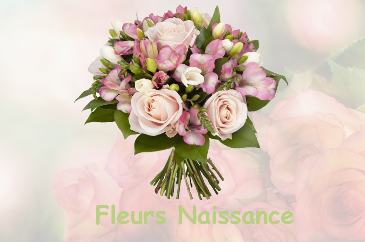 fleurs naissance SAINT-PRIEST-LA-FEUILLE